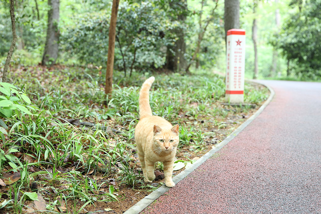 中山陵博爱坊